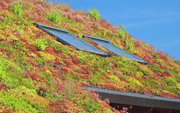 Craig Y Duke living roof systems