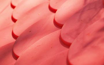 Craig Y Duke plastic roof costs